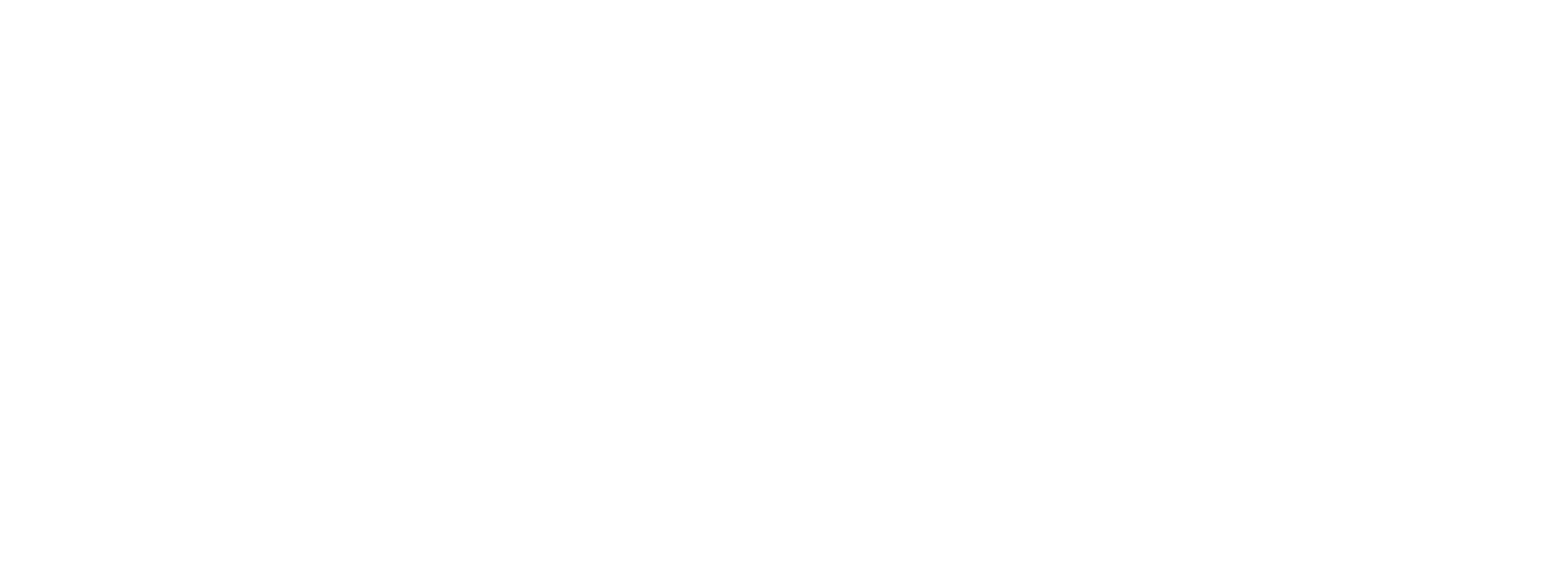 NuEntry Logo